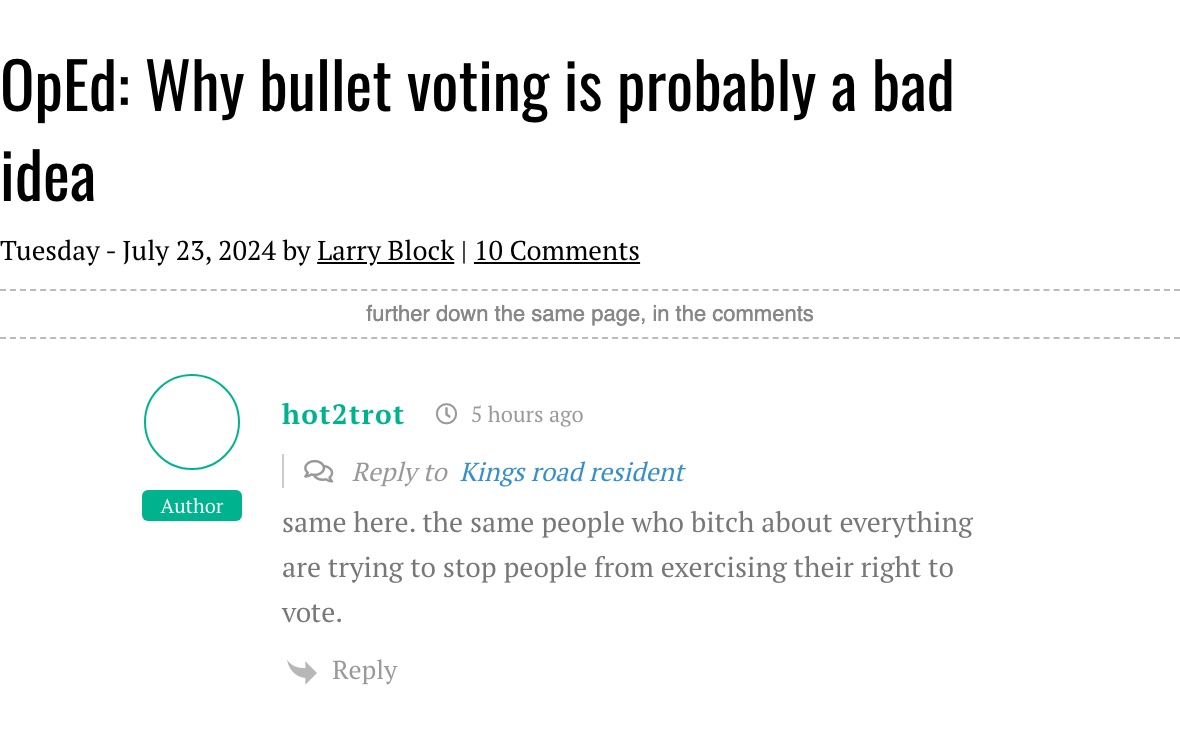 WEHOonline, "OpEd: Why bullet voting is probably a bad idea," July 23, 2024, as archived by the Internet Archive on July 25, 2024